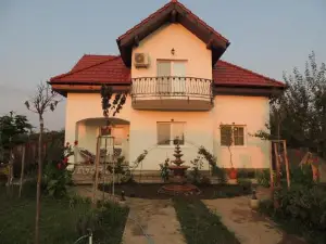 Blue Sky House