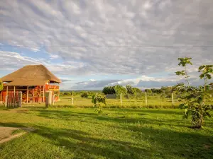 Njovu Park Lodge