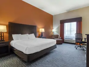 베스트 웨스턴 플러스 롱혼 인 & 스위트