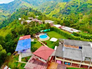Mountain View Hostel