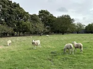 Country Retreats on Ranzau 9