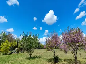 Holiday Home on private domain with park