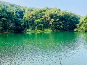 Phòng 2 giường đôi View cảnh Nội khu