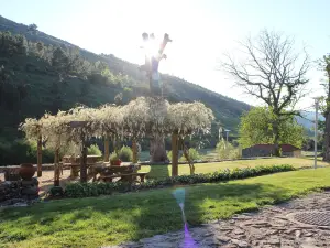 Moinho d'Antoninha