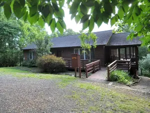 Creekview Cabin - A Perfect Escape