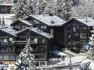 Black Summit Boutique Resort Laax