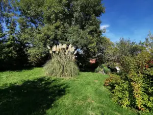Le clos verdonnais