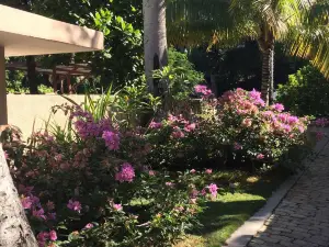 Palm Residence