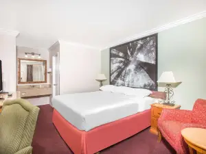 Upper Lake Inn & Suites