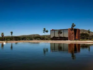 Mineral del Cielo