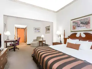 Comfort Inn & Suites Greenville Near Convention Center
