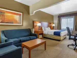 Comfort Suites Auburn Hills-Detroit