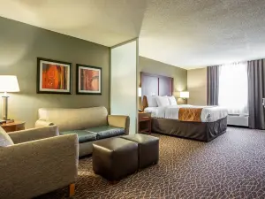 Comfort Inn & Suites Kannapolis - Concord