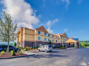 Comfort Inn & Suites Hillsville I-77