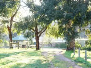 Hillview, Halls on Falls Homestead