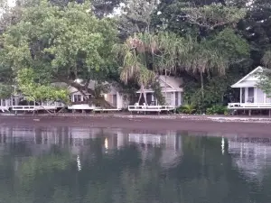Driftwood Resort