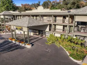 컨트리 인 소노라