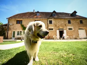 Domaine de Bersaillin