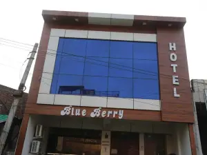 Hotel Blue Berry Agra
