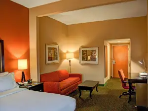 Holiday Inn Express & Suites Tyler South