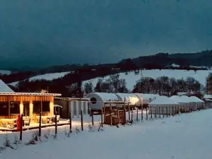 Glamping Iurte Mongole Spiritul Zimbrului