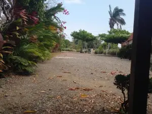 Cabañas Martina Surf Playa Guanico