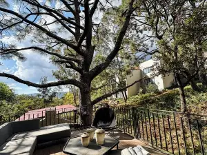 Serenzzo Hotel & Cuisine