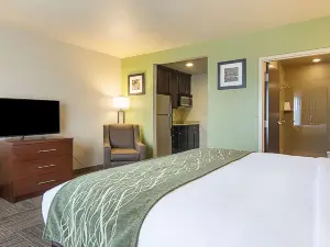 Comfort Inn Bentonville - Crystal Bridges