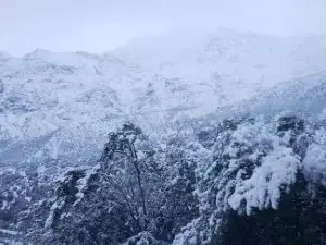 Refugio Cordillera Flora endógena Bosque Esclerófilo
