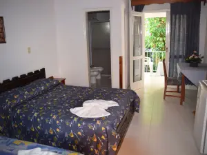 Hotel Palmas del Sol