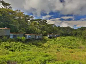 熱帶雨林生態度假旅館