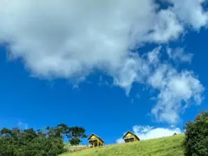 Chales Sabor Dos Ventos