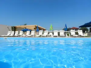 Pensiunea de Vis
