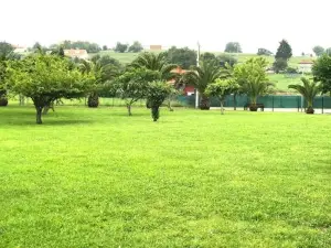 Apartamentos Olga Cantabria