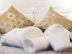 Luxury Apartment Megy