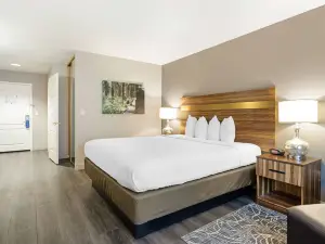 Best Western Cedar Inn  Suites