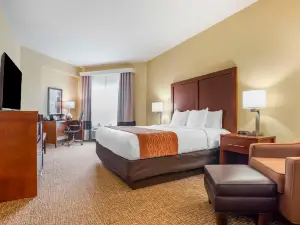 Comfort Inn & Suites Daphne Spanish Fort - Mobile East