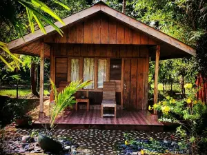 Pristine Beach Resort - Diglipur