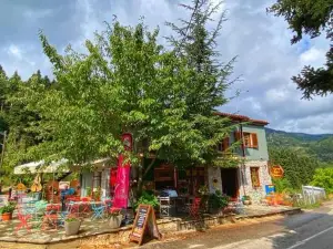 Pavliani House