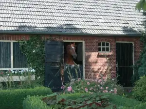Erve Het Roolvink Boerderij Appartementen 40-50 M2