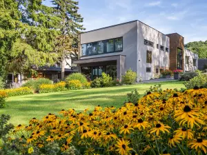 ビスタ リゾート プラハ