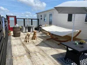 Traumlage Nr 58 Traumblick direkt am Wattenmeer erste Reihe unendliche Weite, eingebettet in der Natur