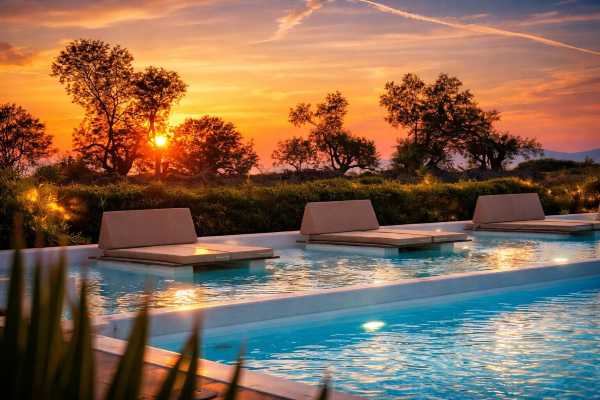 Mare Nostrum Santo Promo Code