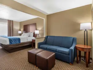 Comfort Inn Near Kokomo Speedway