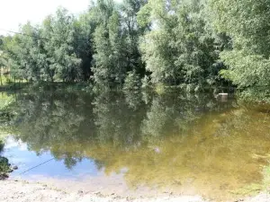 Noclegi Różanka