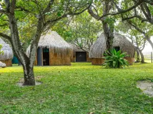Manico Camp