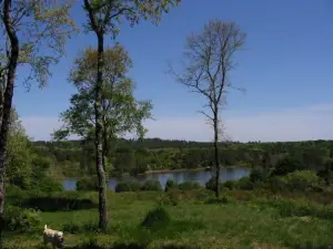 La Musardière