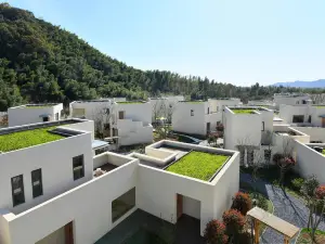 Blossom House Changxing
