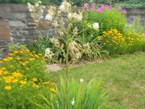 Quiet, Private Lakefront Cottage - Skaneateles Lake