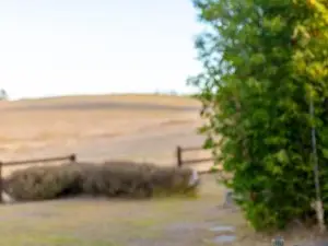 View! Farm in Bridgewater! Luminous Pond Farm